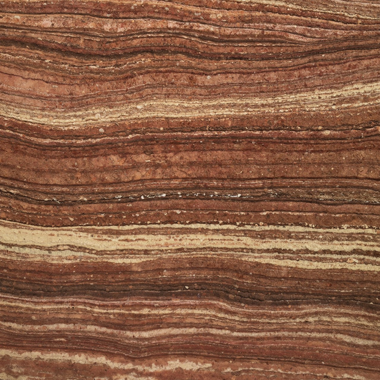 Macro of banded red and cream sandstone strata filling the frame